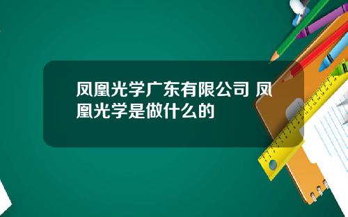 凤凰光学广东有限公司 凤凰光学是做什么的