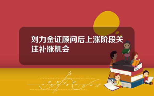 刘力金证顾问后上涨阶段关注补涨机会