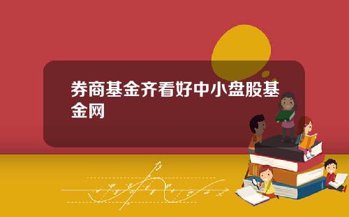 券商基金齐看好中小盘股基金网