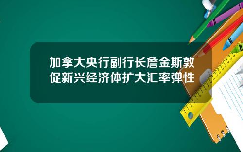 加拿大央行副行长詹金斯敦促新兴经济体扩大汇率弹性