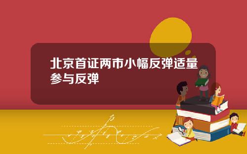 北京首证两市小幅反弹适量参与反弹