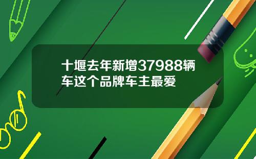 十堰去年新增37988辆车这个品牌车主最爱