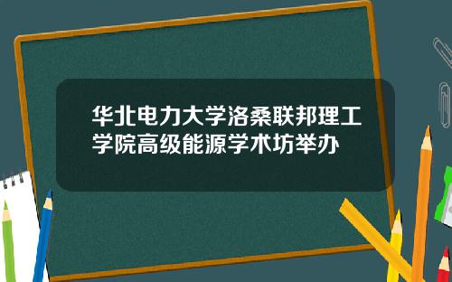 华北电力大学洛桑联邦理工学院高级能源学术坊举办