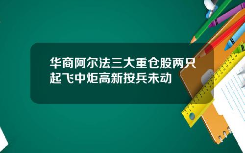 华商阿尔法三大重仓股两只起飞中炬高新按兵未动