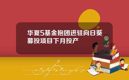 华夏5基金抱团进驻向日葵募投项目下月投产