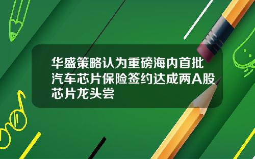 华盛策略认为重磅海内首批汽车芯片保险签约达成两A股芯片龙头尝