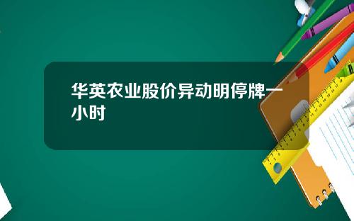 华英农业股价异动明停牌一小时