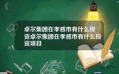 卓尔集团在孝感市有什么投资卓尔集团在孝感市有什么投资项目