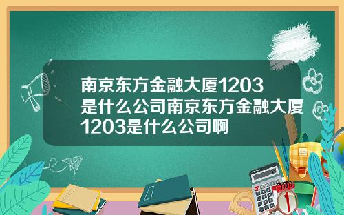 南京东方金融大厦1203是什么公司南京东方金融大厦1203是什么公司啊