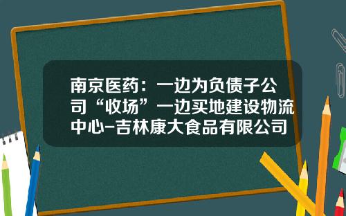 南京医药：一边为负债子公司“收场”一边买地建设物流中心-吉林康大食品有限公司的财务报表
