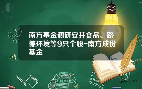 南方基金调研安井食品、路德环境等9只个股-南方成份基金
