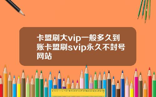 卡盟刷大vip一般多久到账卡盟刷svip永久不封号网站