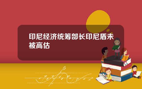 印尼经济统筹部长印尼盾未被高估