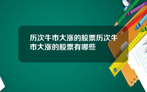 历次牛市大涨的股票历次牛市大涨的股票有哪些