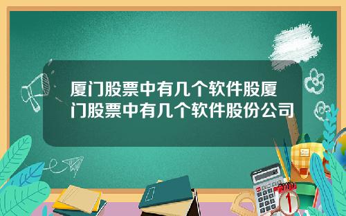 厦门股票中有几个软件股厦门股票中有几个软件股份公司