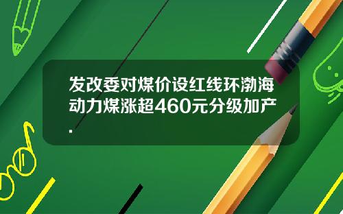 发改委对煤价设红线环渤海动力煤涨超460元分级加产.