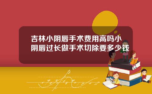 吉林小阴唇手术费用高吗小阴唇过长做手术切除要多少钱