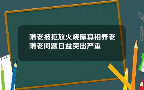 啃老被拒放火烧屋真相养老啃老问题日益突出严重