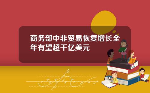 商务部中非贸易恢复增长全年有望超千亿美元