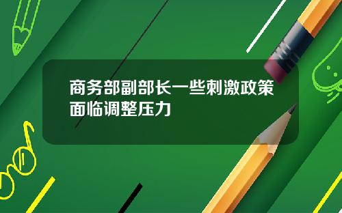 商务部副部长一些刺激政策面临调整压力