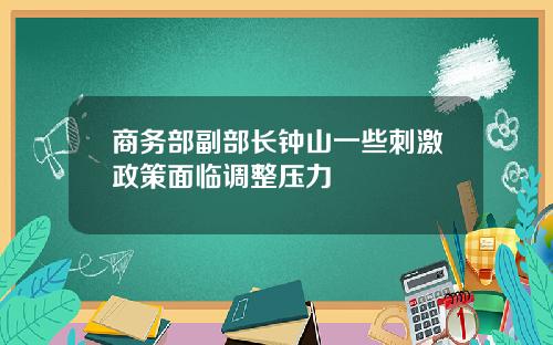 商务部副部长钟山一些刺激政策面临调整压力