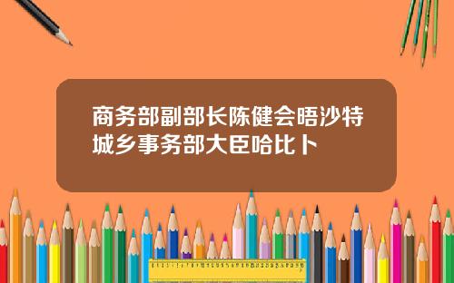 商务部副部长陈健会晤沙特城乡事务部大臣哈比卜