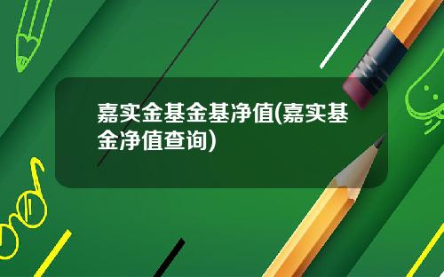 嘉实金基金基净值(嘉实基金净值查询)
