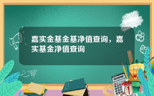 嘉实金基金基净值查询，嘉实基金净值查询