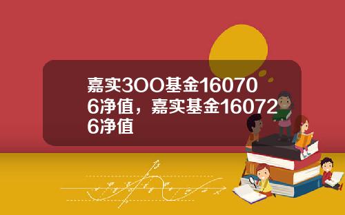 嘉实3OO基金160706净值，嘉实基金160726净值