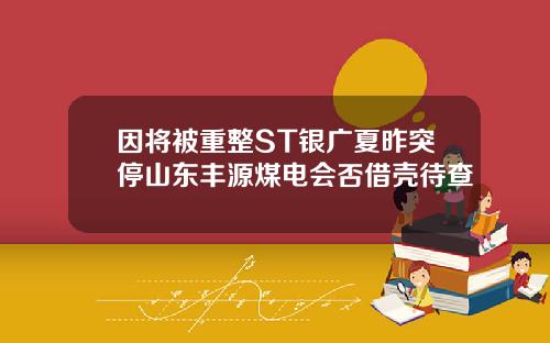 因将被重整ST银广夏昨突停山东丰源煤电会否借壳待查