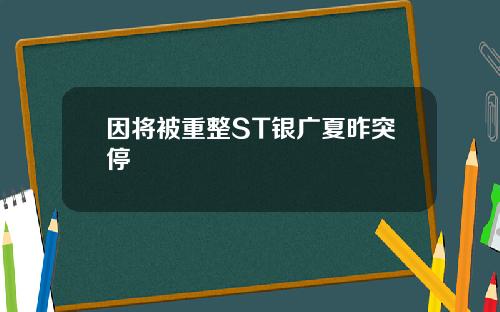 因将被重整ST银广夏昨突停