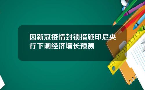 因新冠疫情封锁措施印尼央行下调经济增长预测