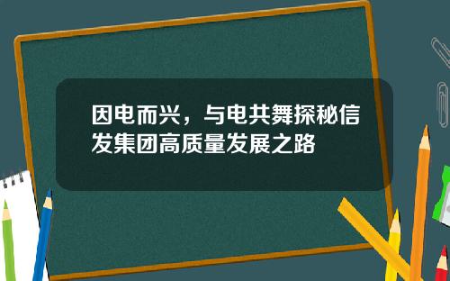 因电而兴，与电共舞探秘信发集团高质量发展之路