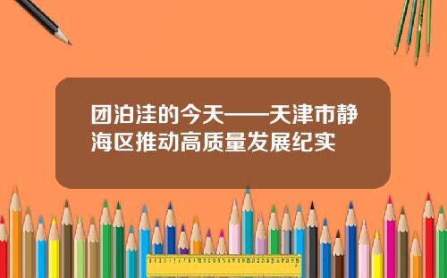 团泊洼的今天——天津市静海区推动高质量发展纪实
