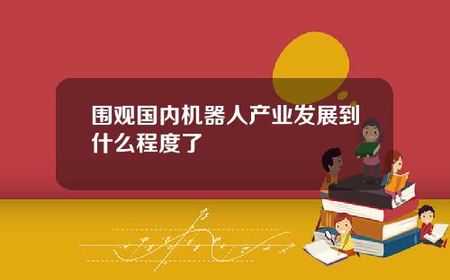 围观国内机器人产业发展到什么程度了