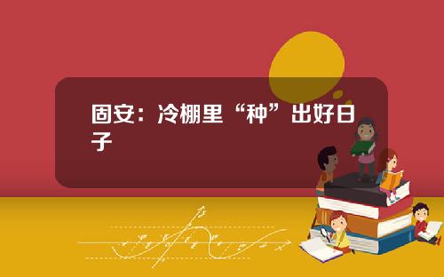 固安：冷棚里“种”出好日子