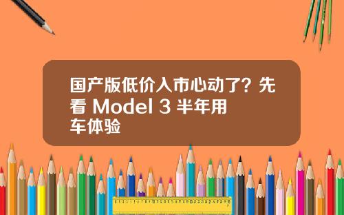 国产版低价入市心动了？先看 Model 3 半年用车体验
