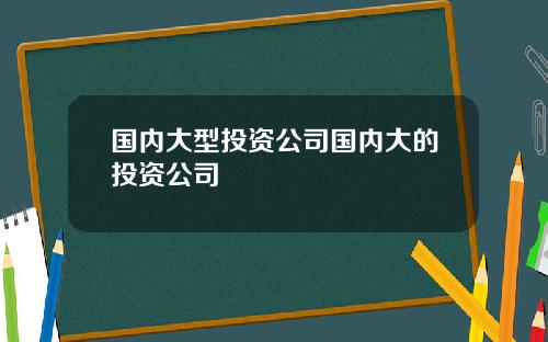 国内大型投资公司国内大的投资公司
