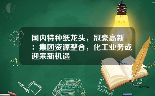 国内特种纸龙头，冠豪高新：集团资源整合，化工业务或迎来新机遇