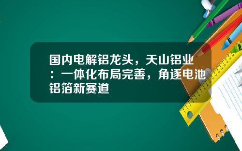 国内电解铝龙头，天山铝业：一体化布局完善，角逐电池铝箔新赛道