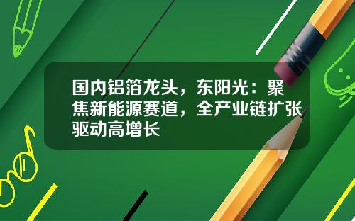 国内铝箔龙头，东阳光：聚焦新能源赛道，全产业链扩张驱动高增长