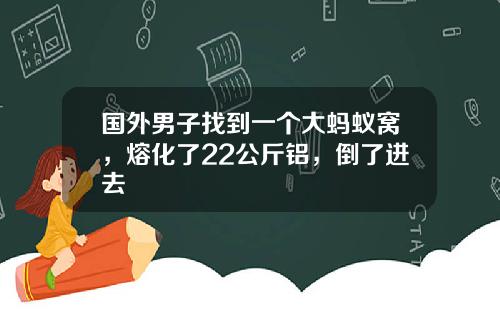 国外男子找到一个大蚂蚁窝，熔化了22公斤铝，倒了进去