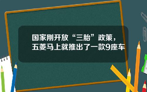 国家刚开放“三胎”政策，五菱马上就推出了一款9座车