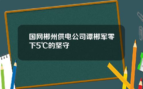 国网郴州供电公司谭郴军零下5℃的坚守