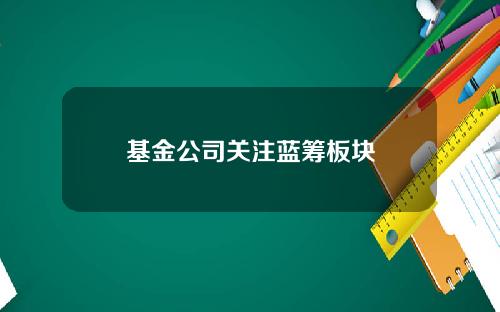 基金公司关注蓝筹板块