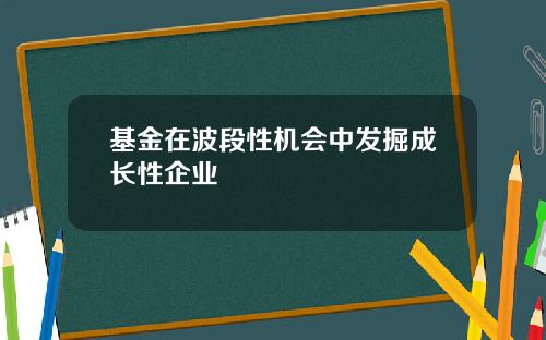 基金在波段性机会中发掘成长性企业