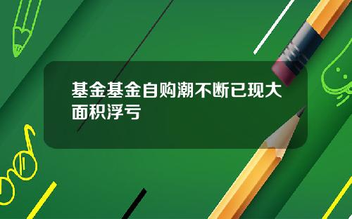 基金基金自购潮不断已现大面积浮亏