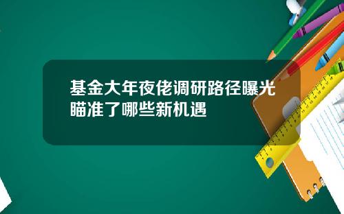 基金大年夜佬调研路径曝光瞄准了哪些新机遇