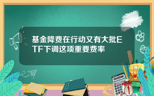 基金降费在行动又有大批ETF下调这项重要费率