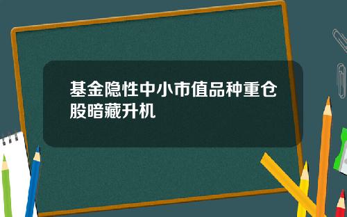 基金隐性中小市值品种重仓股暗藏升机